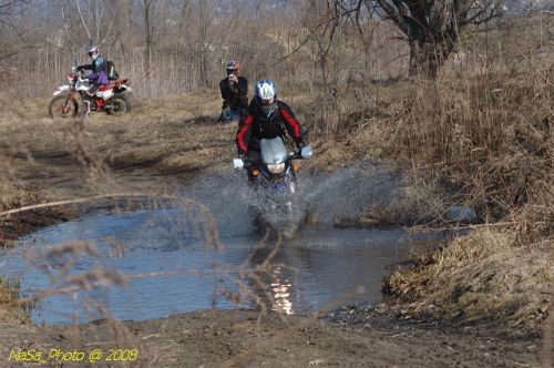 DSC_4897.jpg