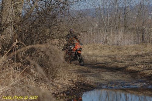 DSC_4917.jpg