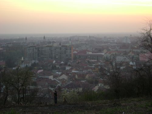 DSC01424.JPG