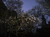 DSC01426.JPG