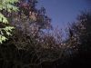 DSC01427.JPG