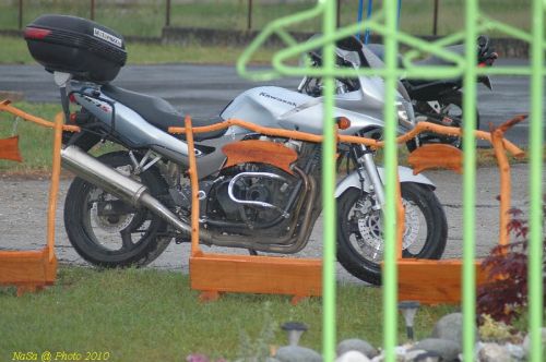 DSC_0951.JPG