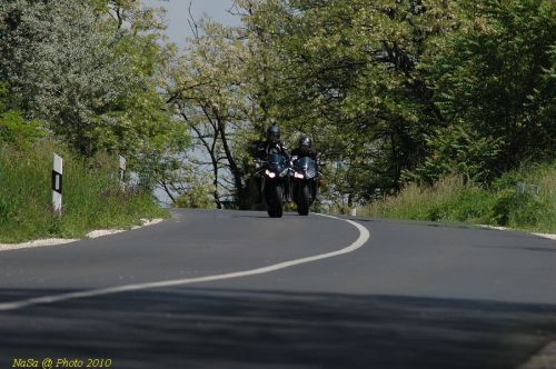 DSC_1235.JPG