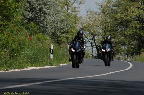 DSC_1237.JPG
