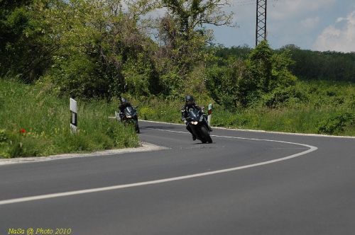 DSC_1239.JPG
