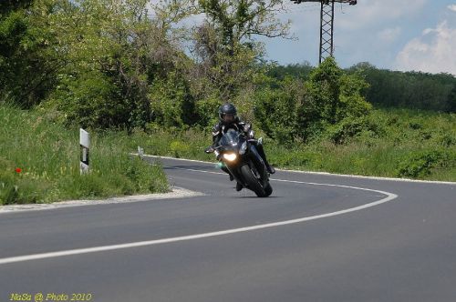 DSC_1240.JPG