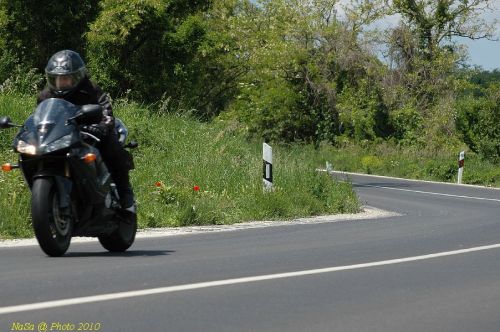 DSC_1242.JPG
