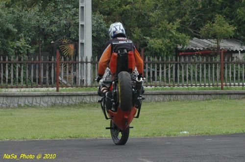 DSC_2197b.jpg