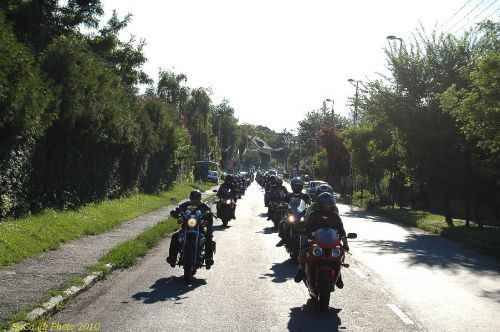 DSC_3296.JPG