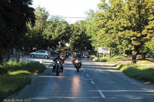 DSC_3354.jpg