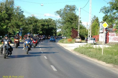 DSC_3376.JPG