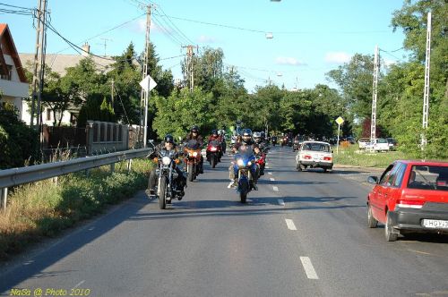 DSC_3378.JPG