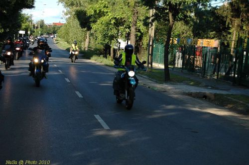 DSC_3381.jpg
