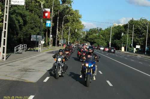 DSC_3408.jpg