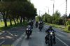 DSC_3529.JPG