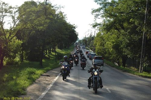 DSC_3545.JPG