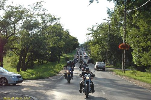 DSC_3550.JPG