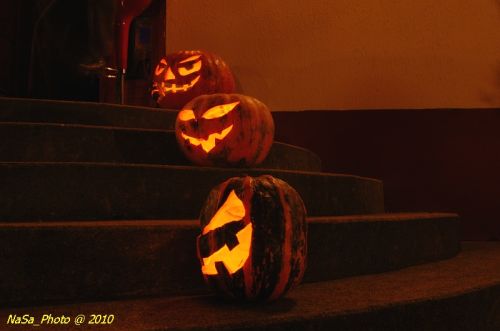 DSC_4559.JPG