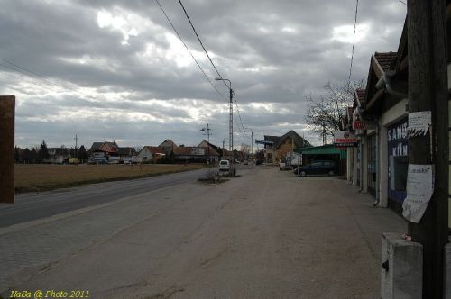 DSC_6137.JPG