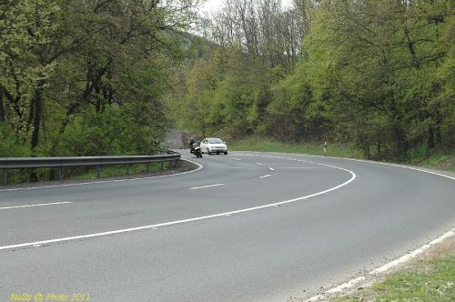 DSC_6418.JPG