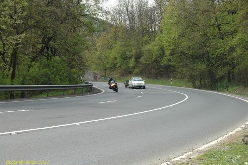 DSC_6419.JPG