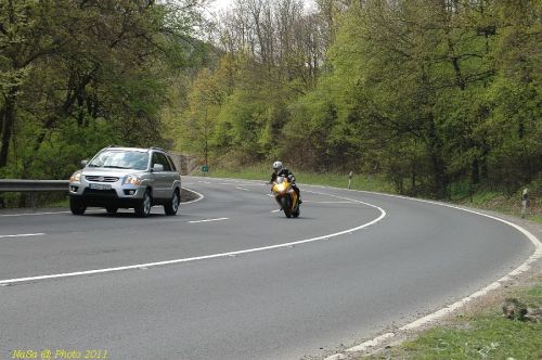 DSC_6433.JPG