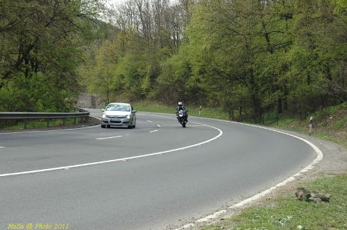 DSC_6435.JPG
