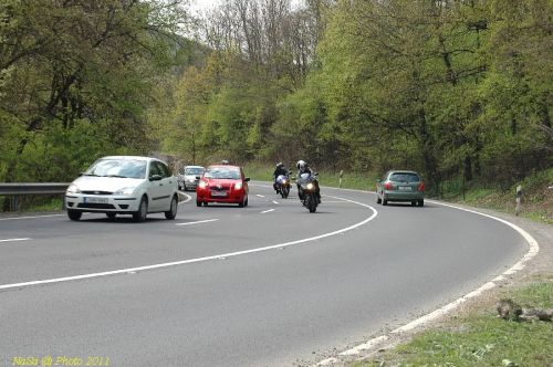 DSC_6442.JPG