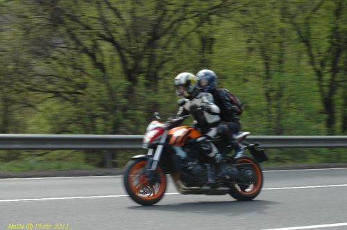 DSC_6447.JPG