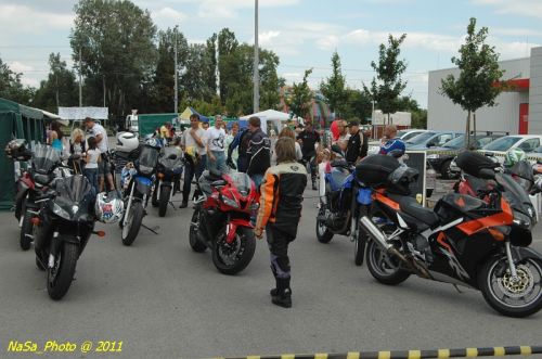 DSC_7677.JPG