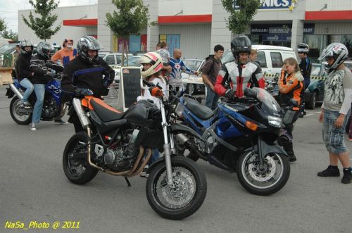 DSC_7733.JPG