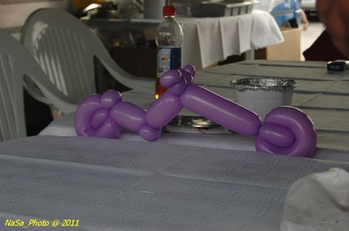DSC_7761.JPG