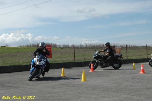 DSC_9174.JPG