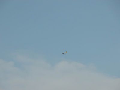 DSCN0949.JPG