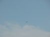 DSCN0949.JPG