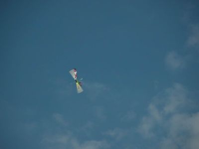 DSCN3341.JPG