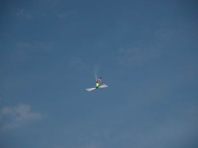 DSCN3347.JPG
