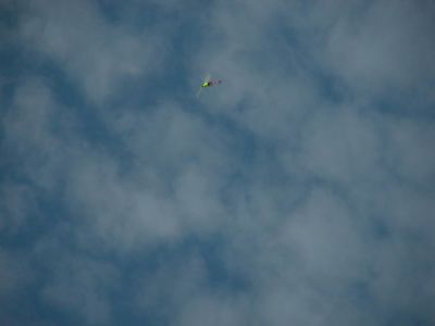 DSCN3355.JPG
