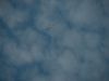 DSCN3354.JPG