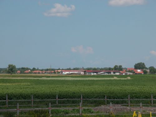 DSCN0119.JPG