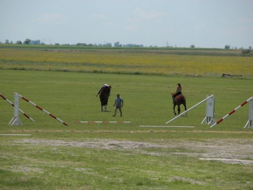 DSCN0142.JPG
