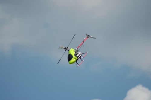 DSC_2310.JPG