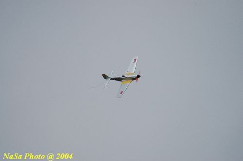 DSC_4538.JPG