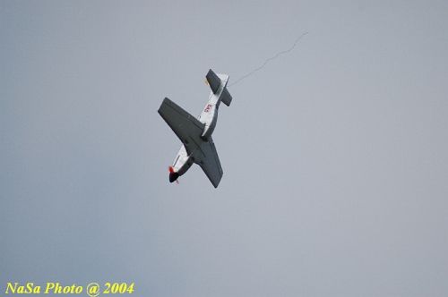 DSC_4555.JPG
