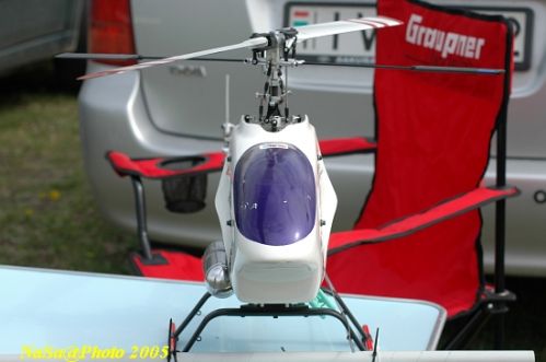 DSC_7764.JPG