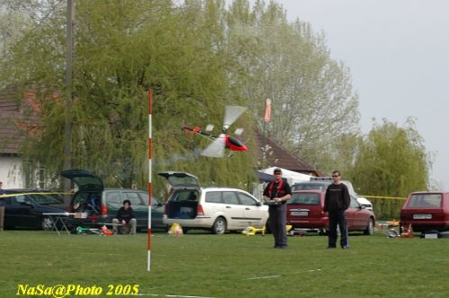 DSC_7771.JPG