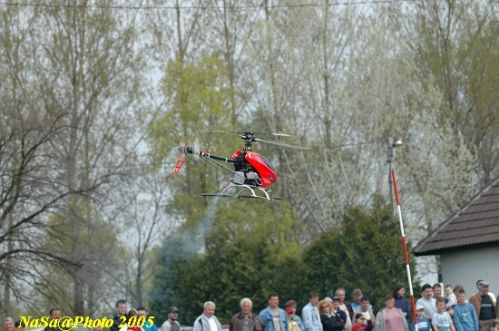 DSC_7775.JPG