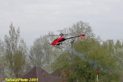 DSC_7782.JPG