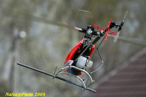 DSC_7787.JPG