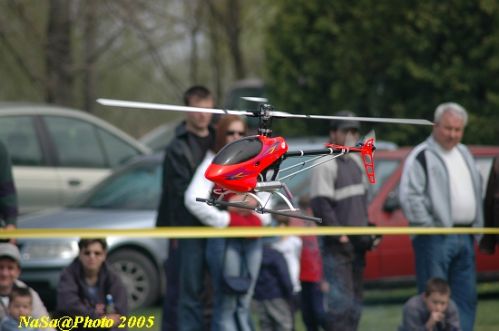 DSC_7789.JPG